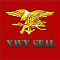 Hoodie Navy SEAL