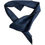 Damen-Halstuch (anstatt Krawatte) nach VwV BaWü