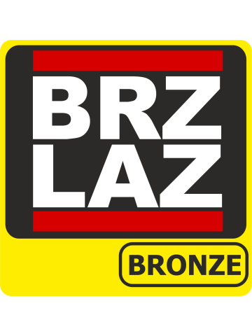 T-Shirt schwarz, Leistungsabzeichen BRZ LAZ (Nr. 16)