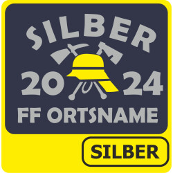 T-Shirt Leistungsabzeichen SILBER mit DIN-Helm (Nr. 13)