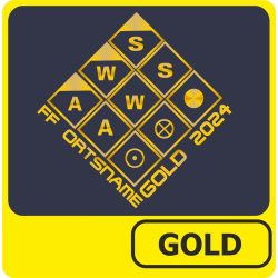 T-Shirt Leistungsabzeichen GOLD (Taktiksymbole) (Nr. 3)