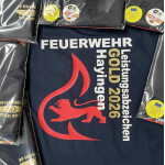 T-Shirt Leistungsabzeichen GOLD (Stauferlöwe) (Nr. 20)