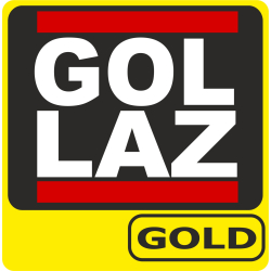T-Shirt schwarz Leistungsabzeichen GOLD (GOL LAZ) (Nr. 16)