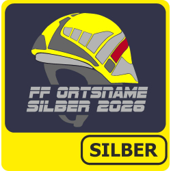 T-Shirt Leistungsabzeichen SILBER mit F220R-Helm (Nr. 40)